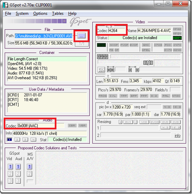gspot-codecs-path-marked